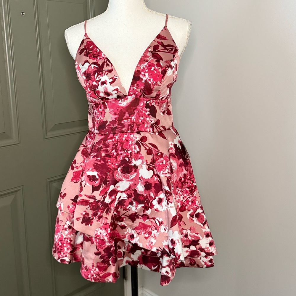 Windsor Blush and Burgundy Floral Dress